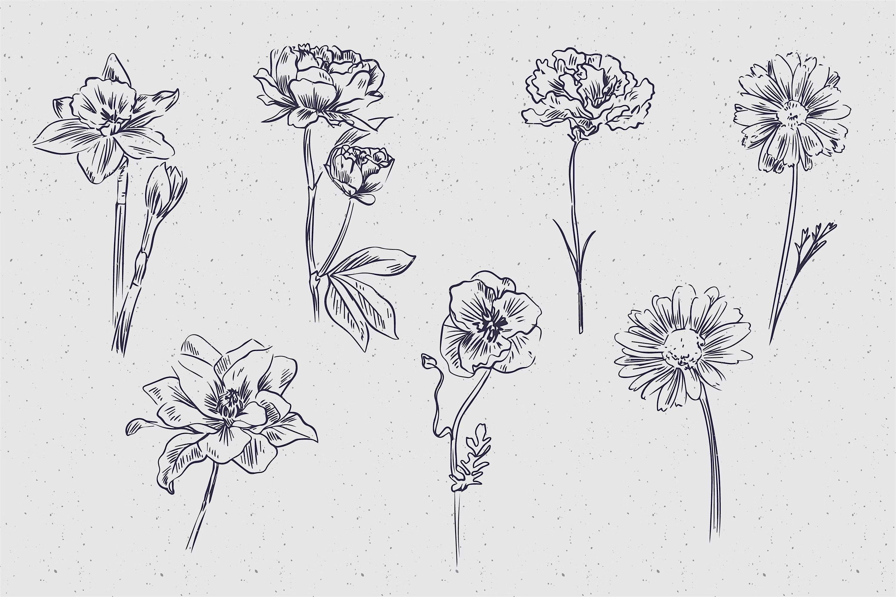 Drawing Nature - Level 2 (6 sessions)