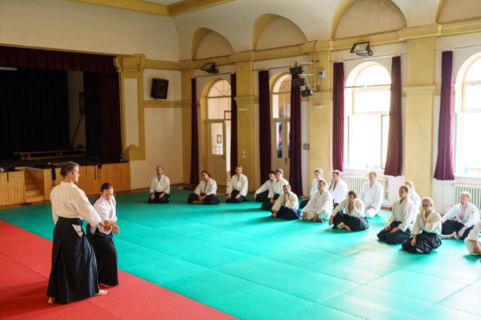Aikidó letní škola: Martin Švihla, Třešť u Jihlavy 2025