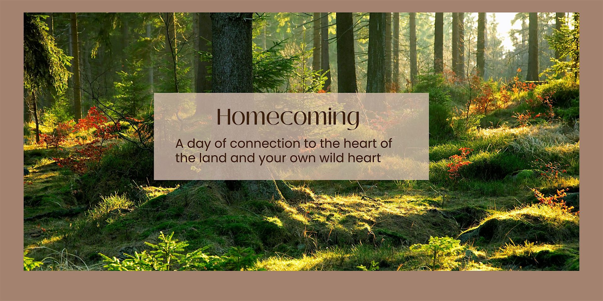 Homecoming - connecting to the heart of the land and your own wild heart
