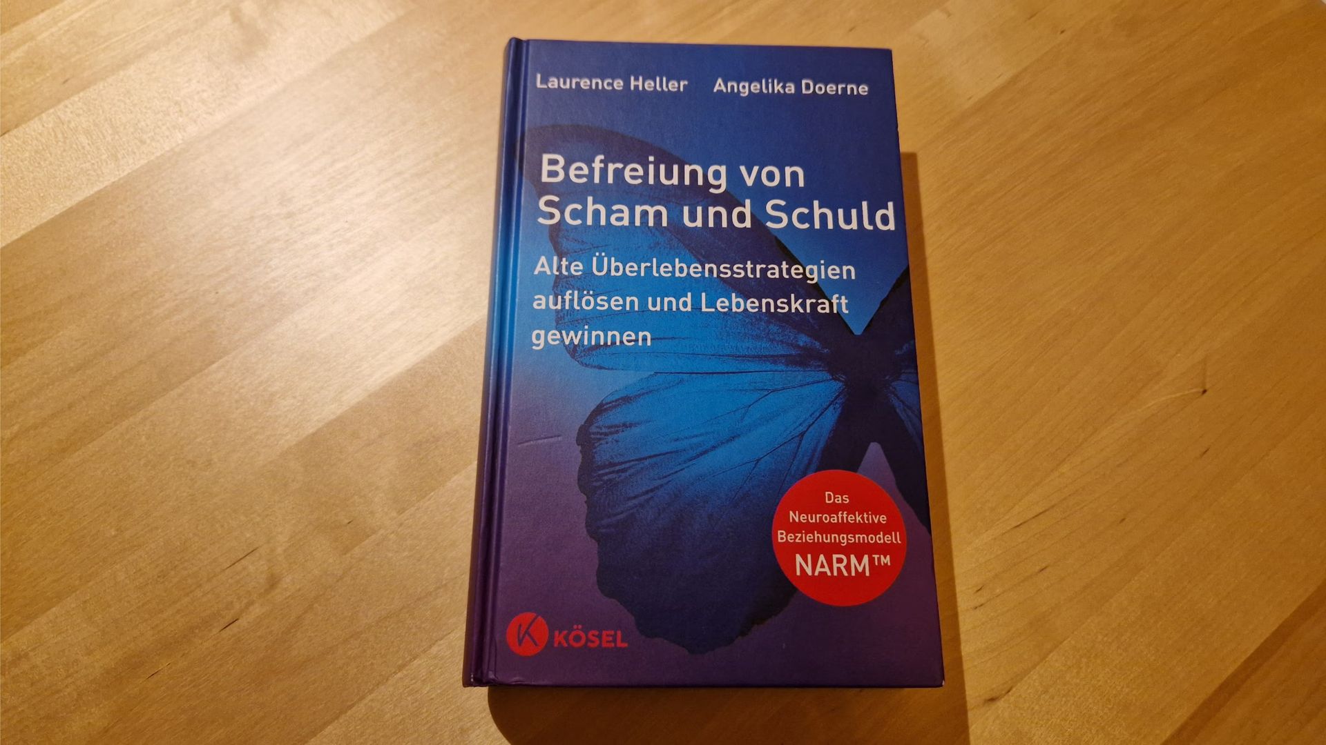 Buch: Befreiung von Schuld & Scham:  Alte Überlebensstrategien auflösen