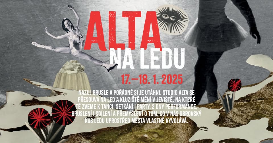 ALTA NA LEDU