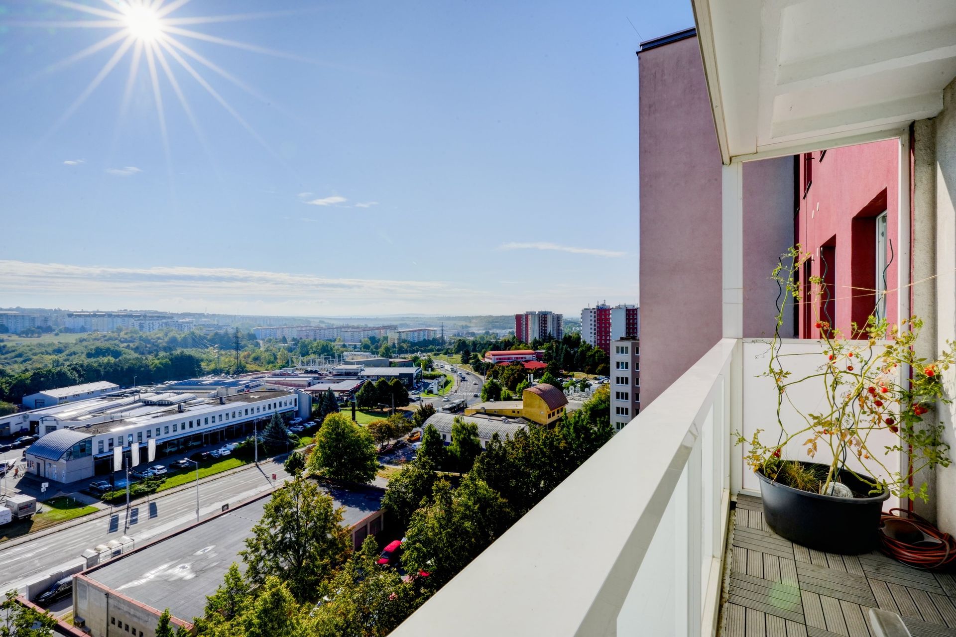 Prohlídkový den - PRONÁJEM 3+1, Prušánecká, Brno - Vinohrady