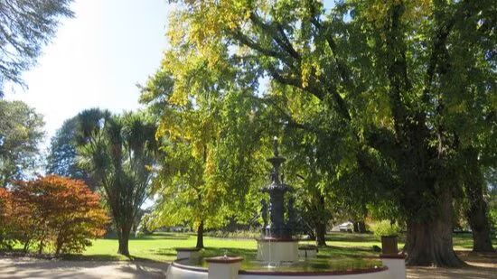 Cook Park