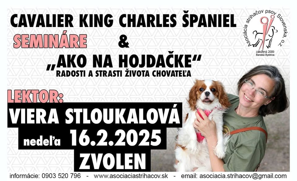 CAVALIER KING CHARLES ŠPANIEL
SEMIIÅRE