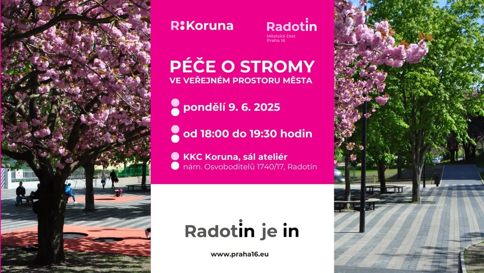 Péče o stromy ve veřejném prostoru města