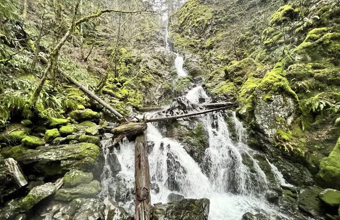 🥾 Sunday Hike Adventure – Hardy & Rodney Falls
