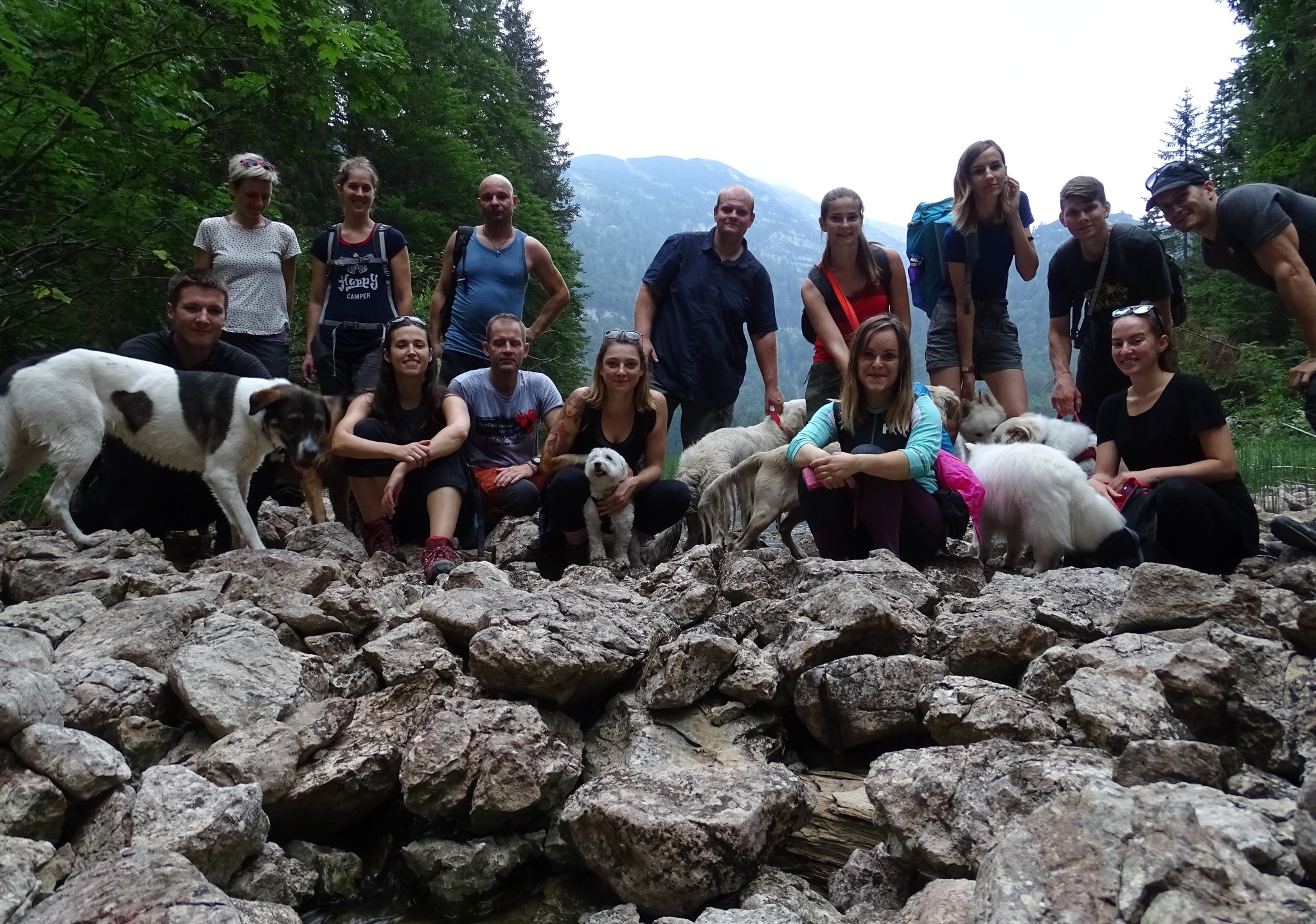 338. Dog Hájking Kutyás Túra (Ausztria, Erlaufsee)
