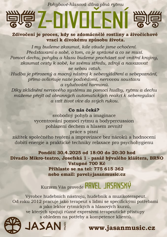 Z-Divočení