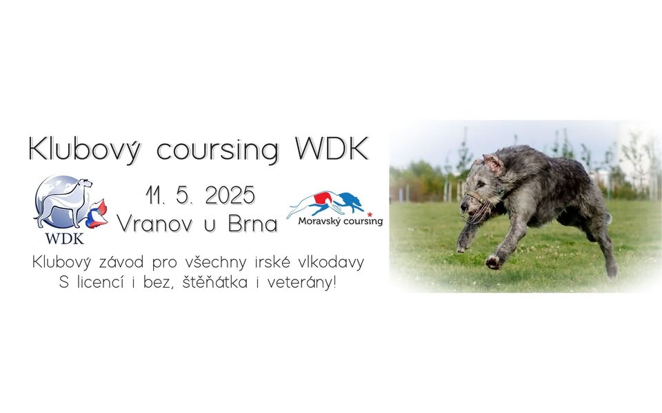 Klubový coursing WDK