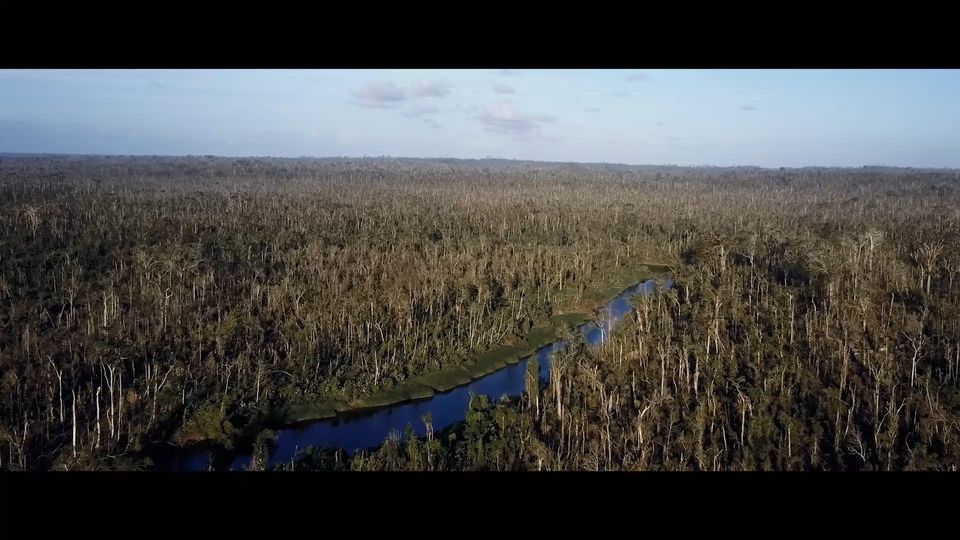 Hlídka - VSTUP ZDARMA - Dělnický dům Židenice - Filmový klub Světozor