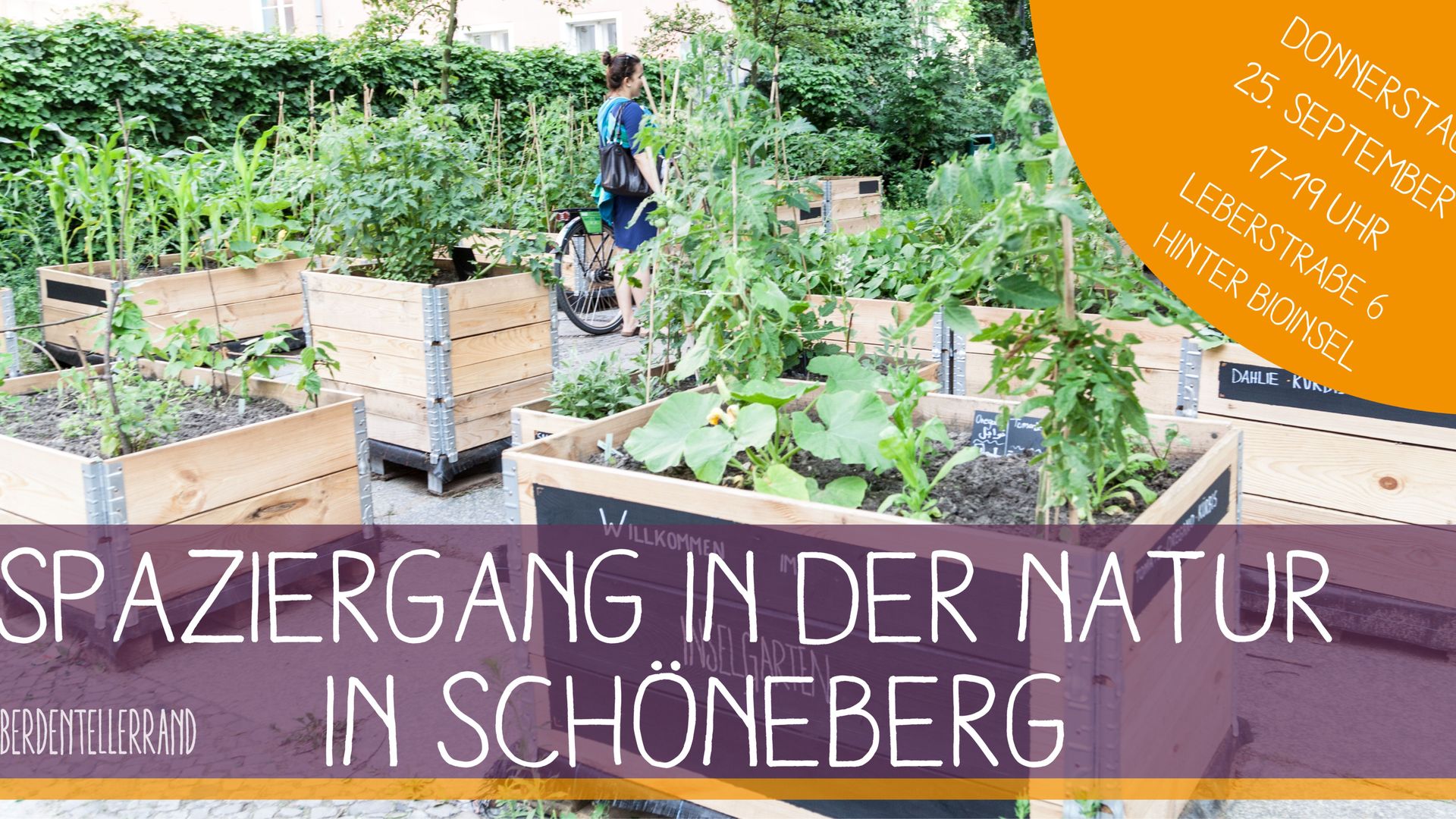 Spaziergang in der Stadtnatur