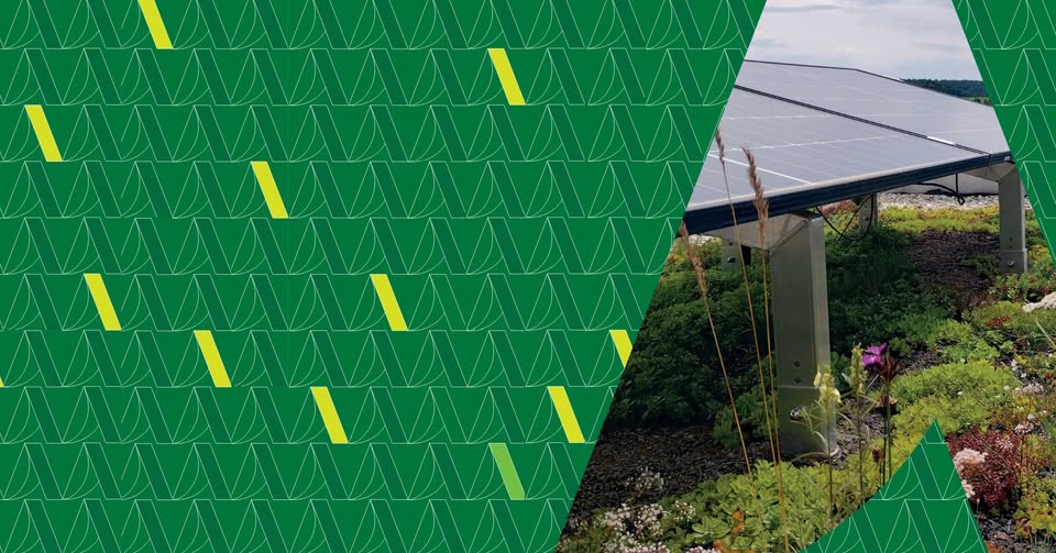 Biodiverzitní a biosolární zelené střechy – trendy a synergie