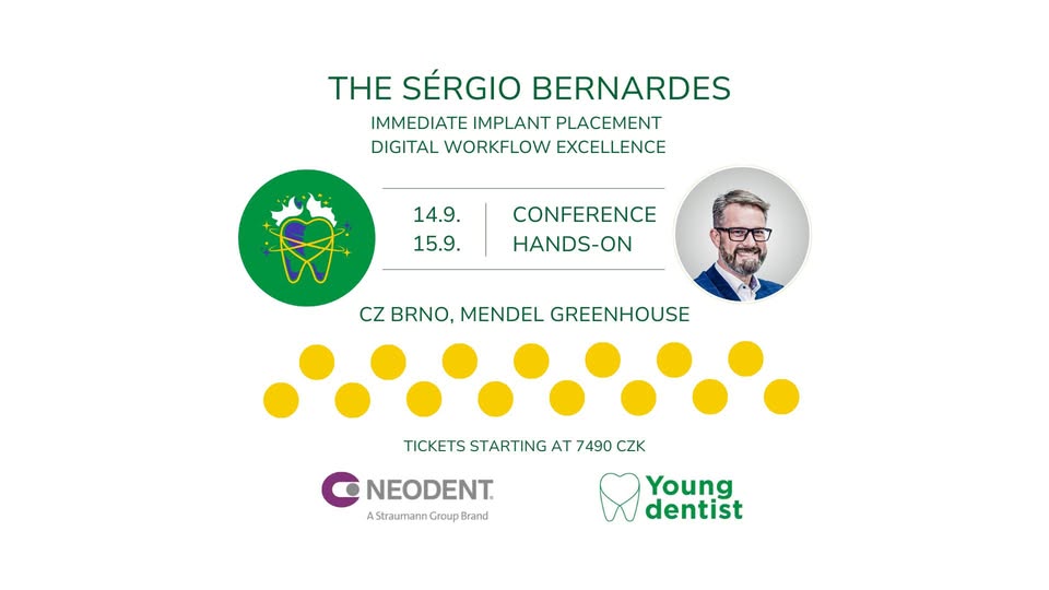 THE SÉRGIO BERNARDES