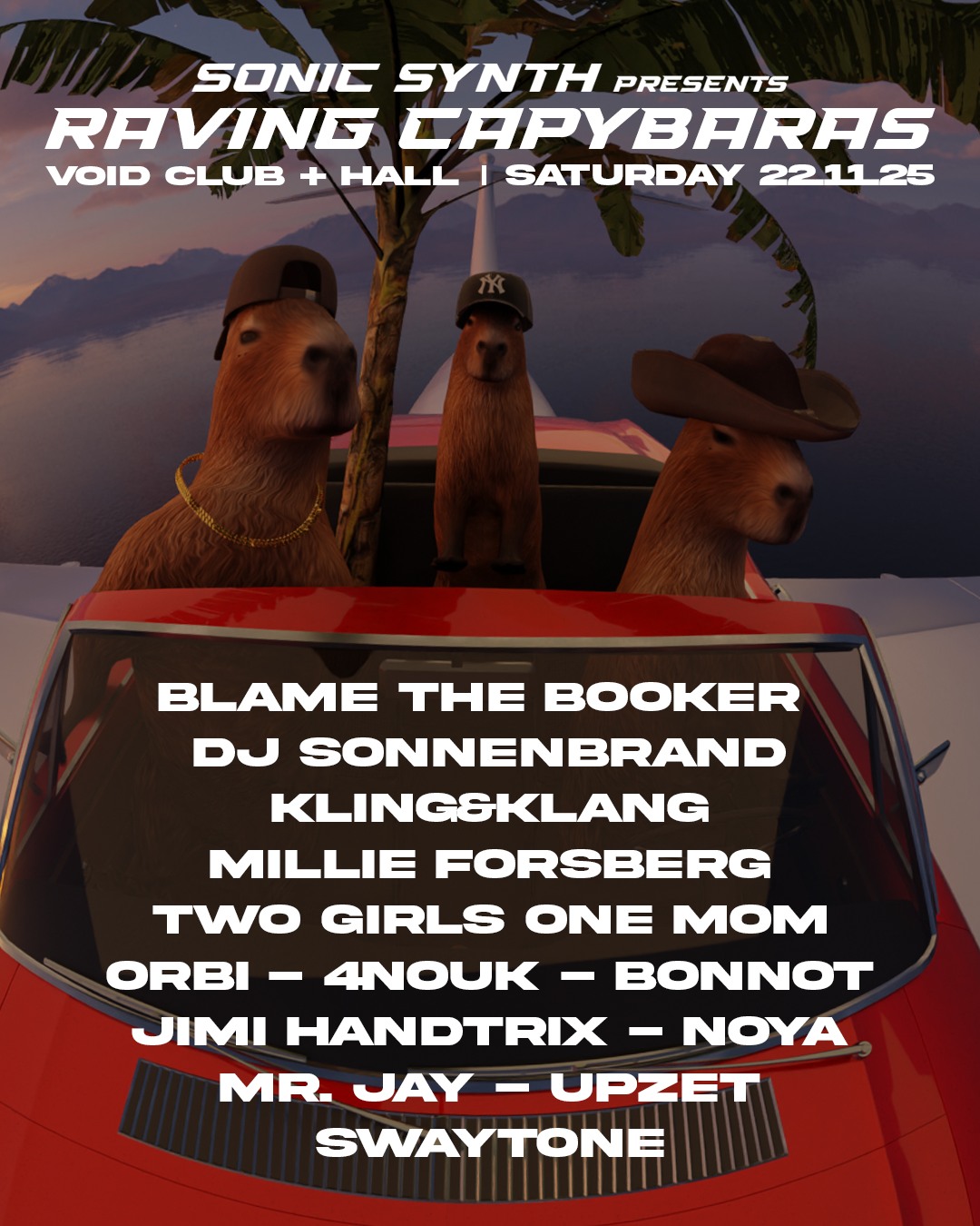 Sonic Synth pres. Raving Capybaras | VOID Club & Hall