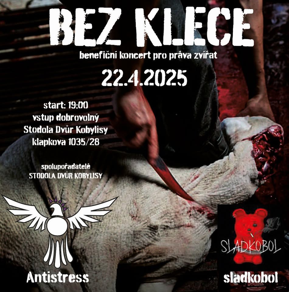 punk rock benefiční koncert