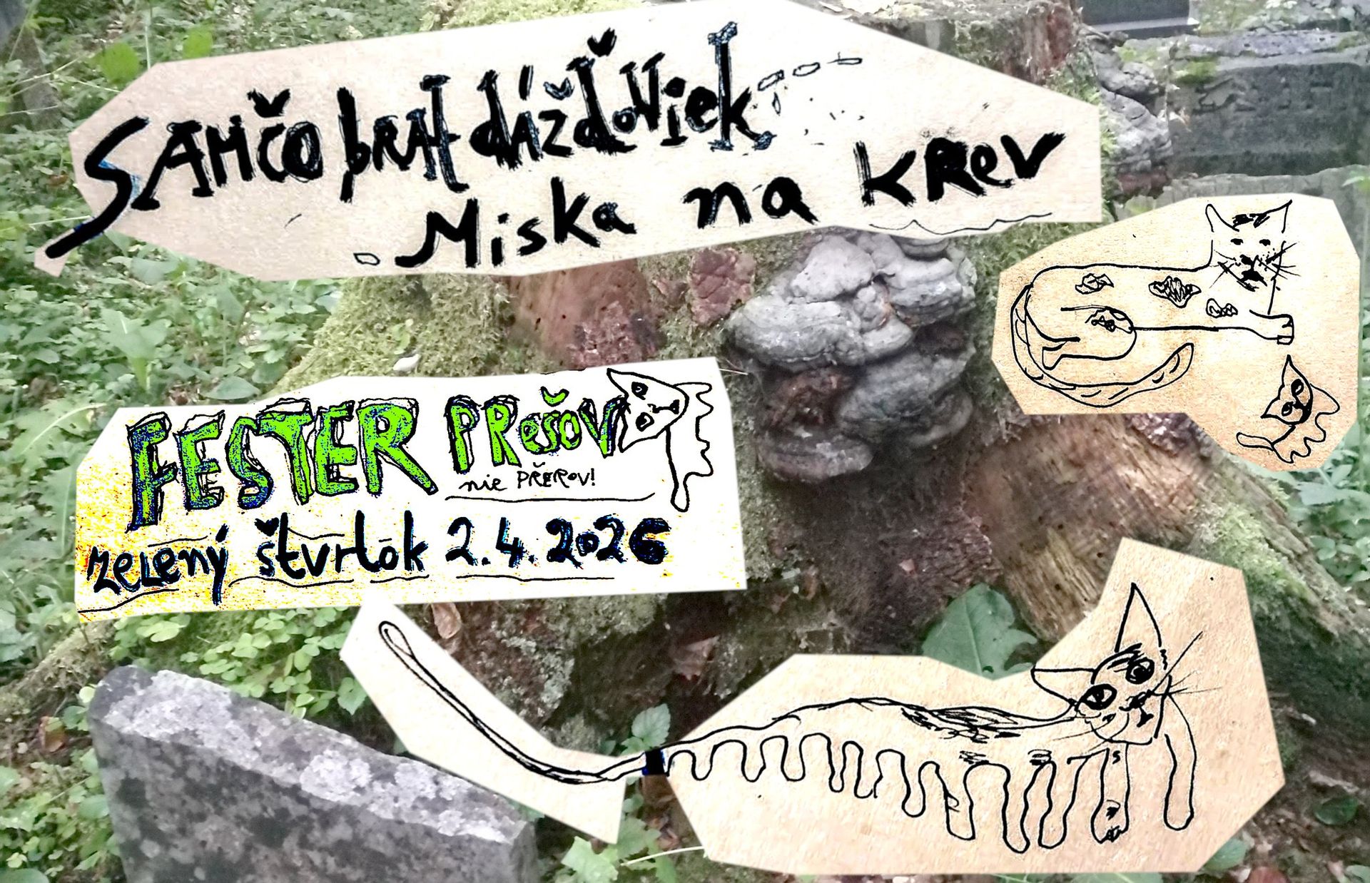 Samčo, brat dážďoviek + Miska Na Krev LIVE FESTER