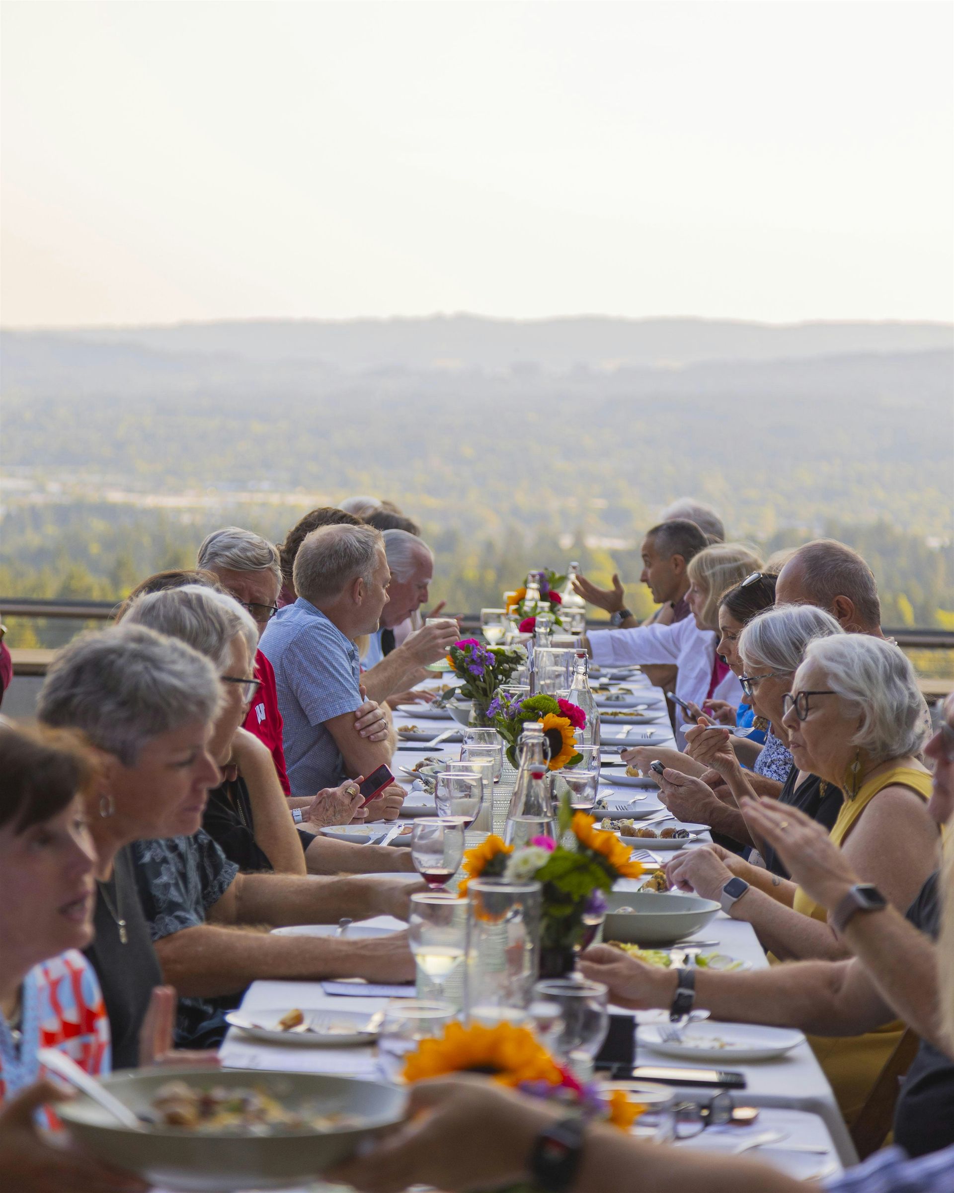 Dinner in the Field at Amaterra Winery