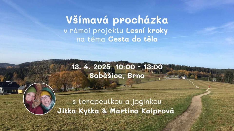 Lesní kroky - CESTA DO TĚLA