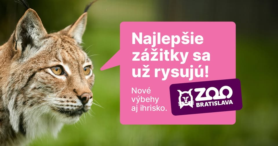 Oficiálne otvorenie nového výbehu pre rysa ostrovida 🌿🐾