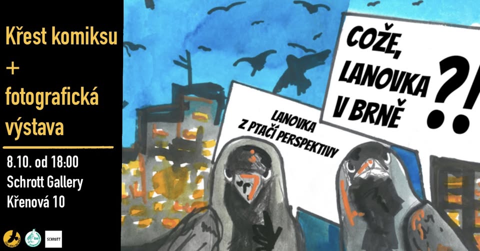Baptism of comics and photographic exhibition of endangered bird species