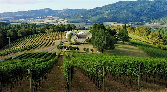 Dinner in the Field at David Hill Winery