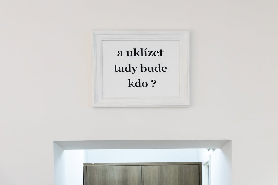 komentované prohlídky / TIMO: Mám kořeny v květináči