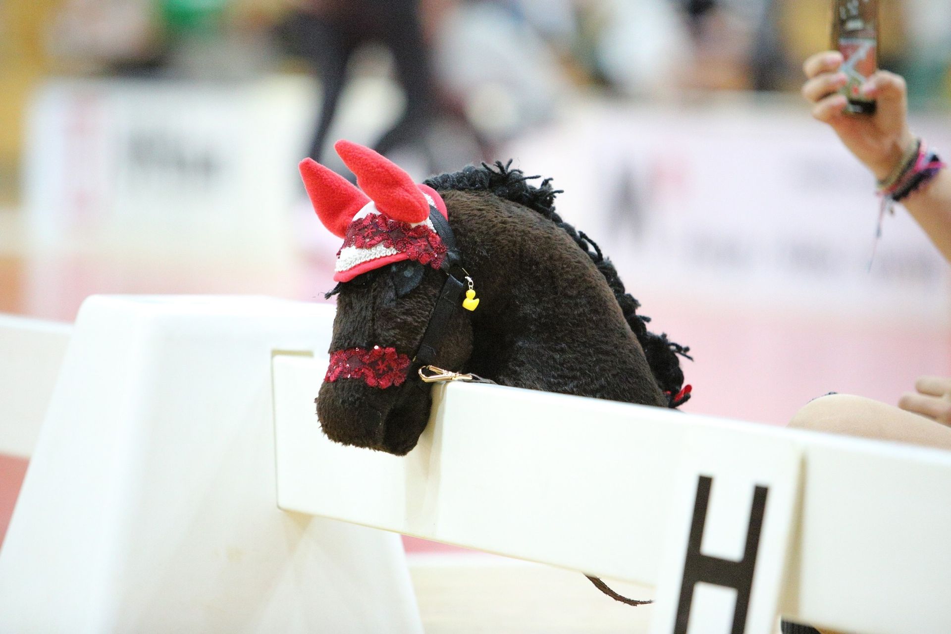 Příměstský tábor Hobby horse