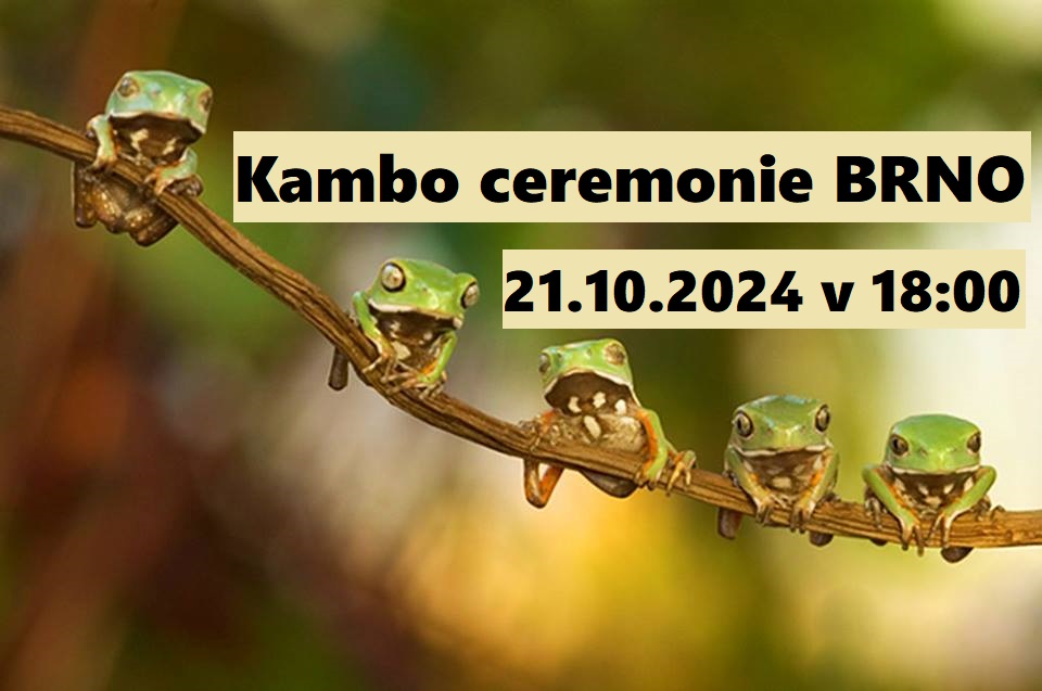 Kambo ceremonie Brno 21.10.2024