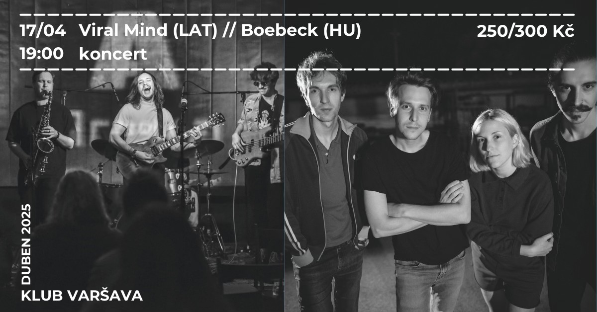 Viral Mind (LAT) // Boebeck (HU)