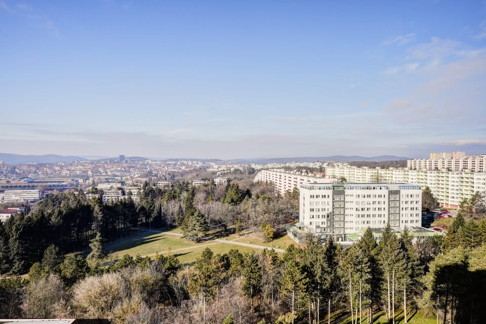 Prohlídkový den - Byt 1+kk, Halasovo náměstí, Brno