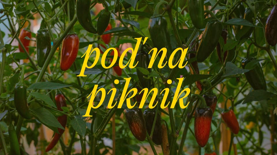Poď na piknik / Košice