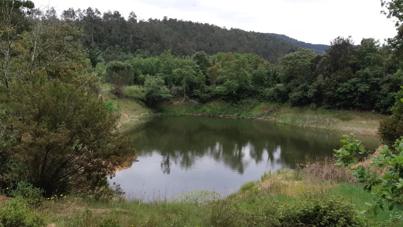 TORDERA A SANTA SUSANNA POR EL INTERIOR DEL MONTNEGRE