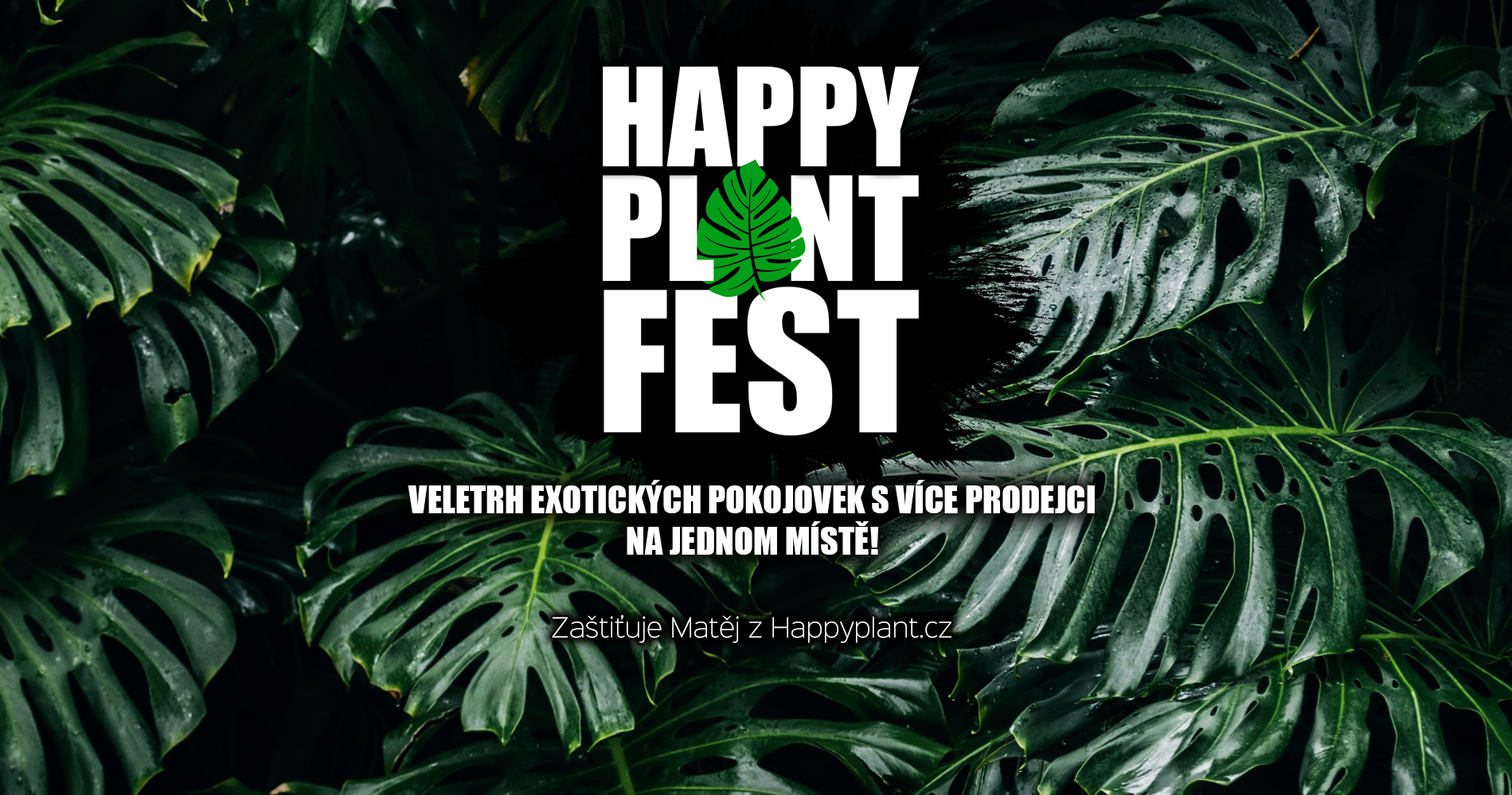 🪴HappyPlantFest Praha – Veletrh rostlin a prodejců pod jednou střechou!