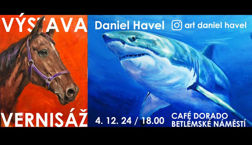 Daniel Havel Vernisáž - Výstava