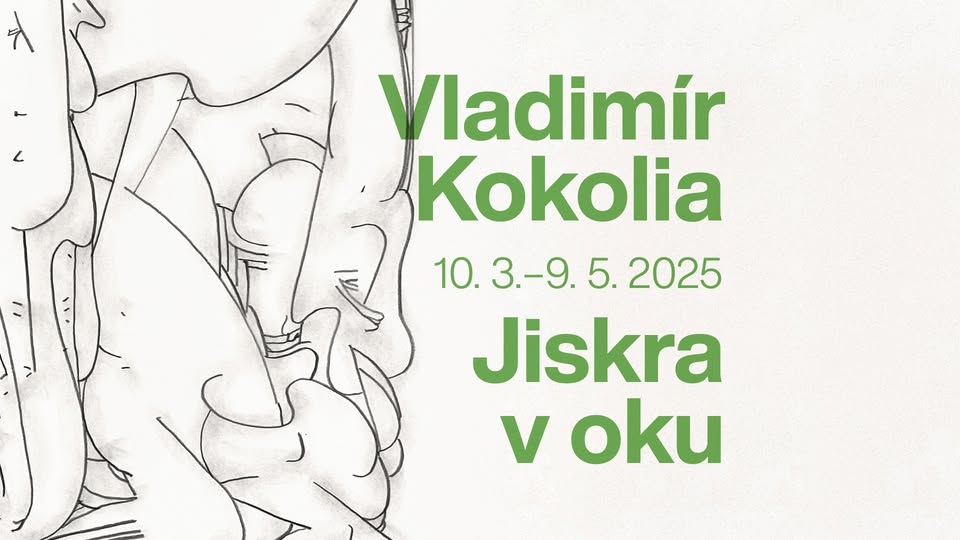 Vladimír Kokolia / Jiskra v oku / vernisáž