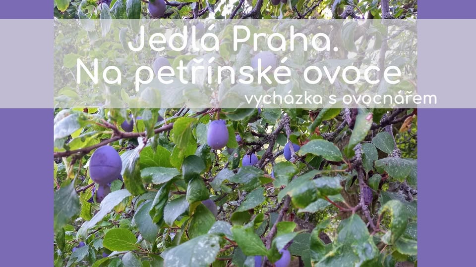 Jedlá Praha. Na petřínské ovoce! Vycházka s ovocnářem