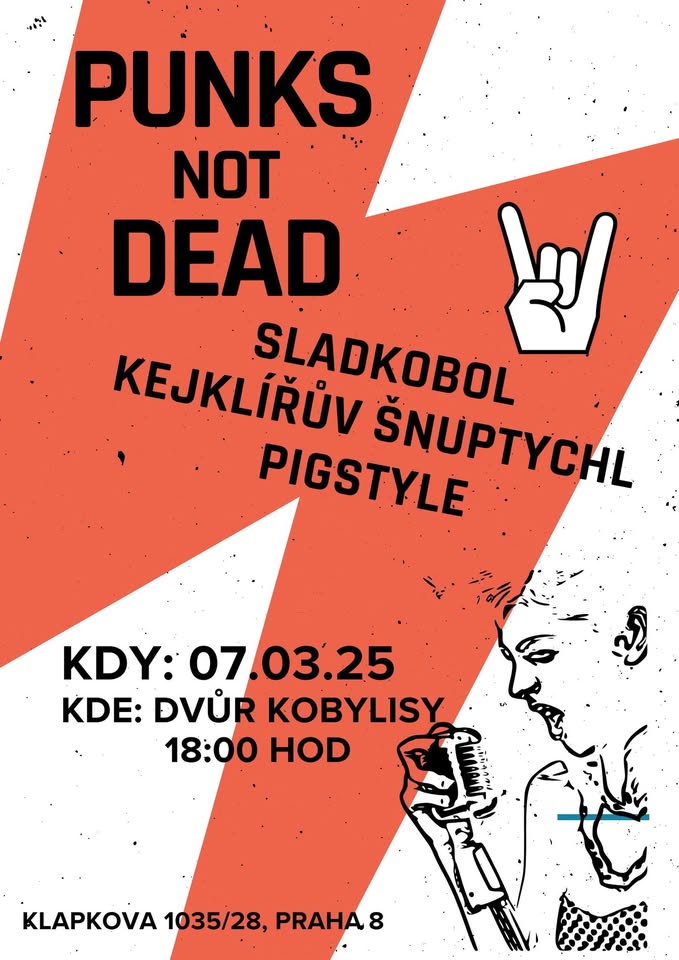 PUNKS NOT DEAD