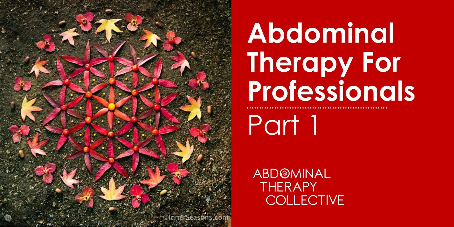 Abdominal Therapy for Professionals Part 1