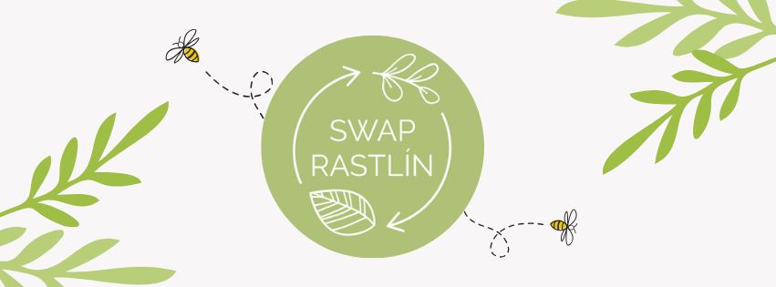 Letný swap rastlín v Košiciach