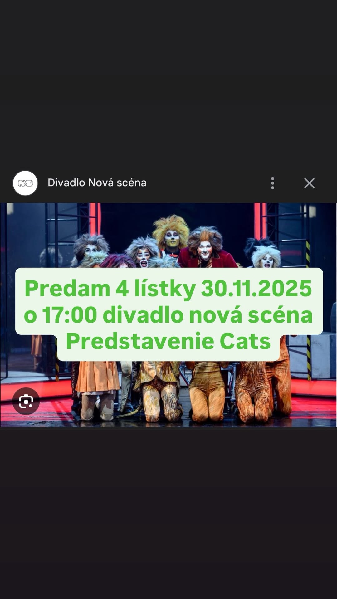 Cats
