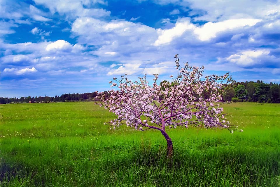 Vervolg training mindfulness