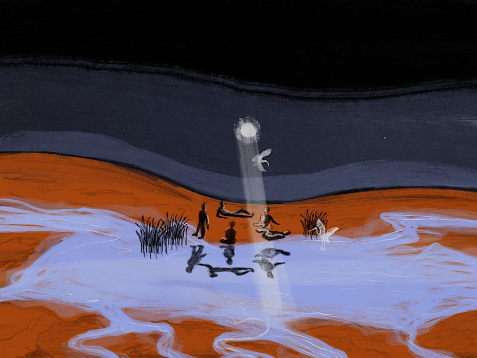 Peatlands and grief: how to collectively honour decay?