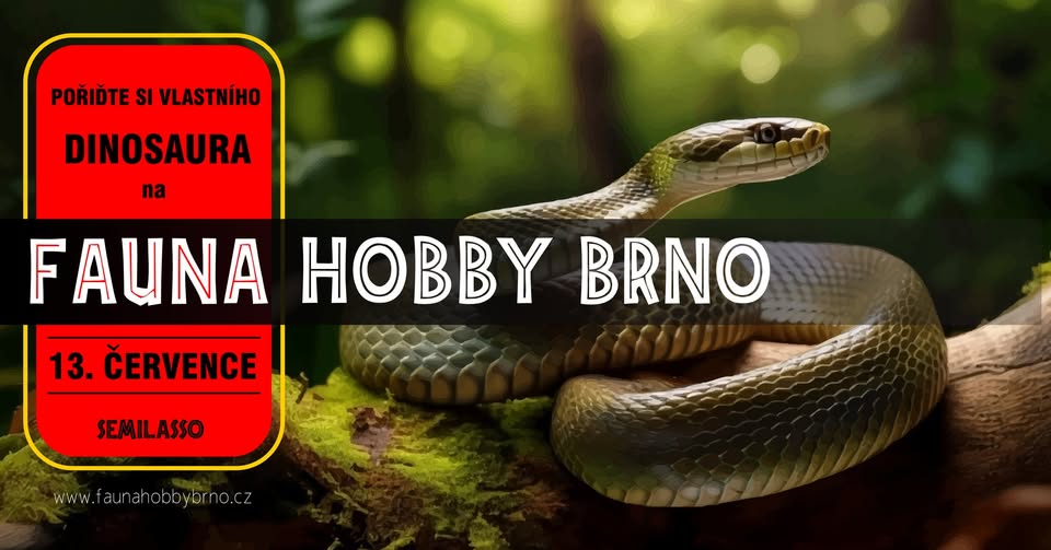 Terrarium and aquarium markets Fauna Hobby Brno