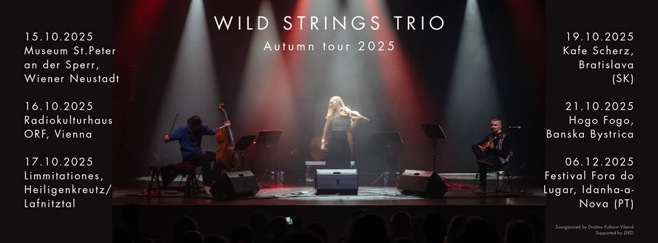Wild Strings Trio @Kafe Scherz