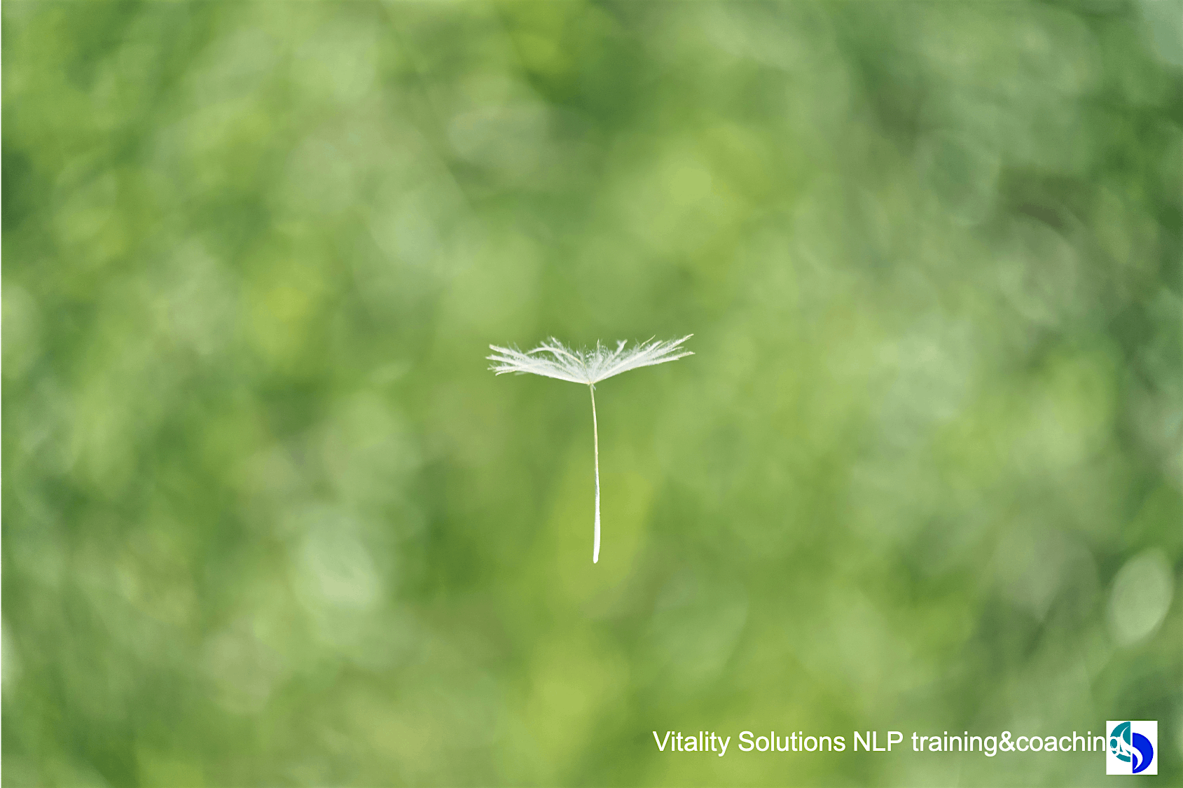MASTER CLASS NLP: Connect with your life purpose and align your goals