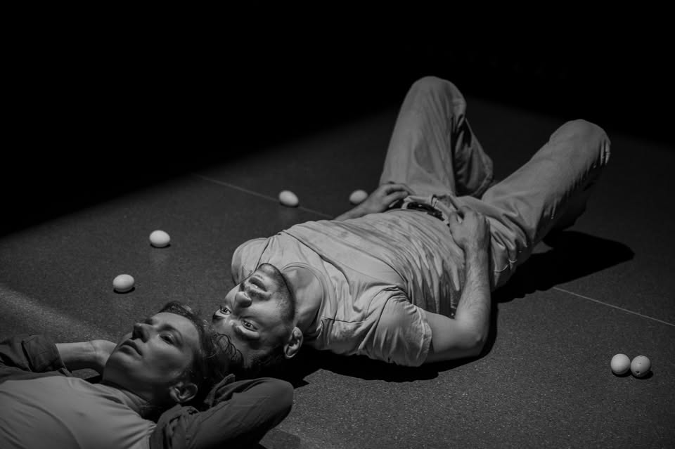 Motion on Peas: Egg Talks / performance & workshop