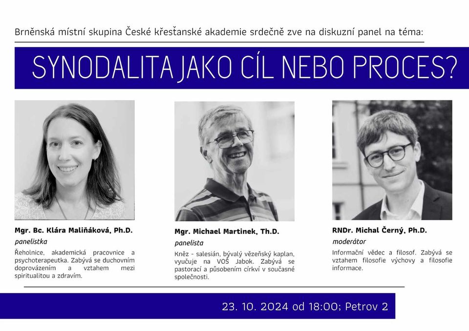 Synodalita jako cíl nebo proces?