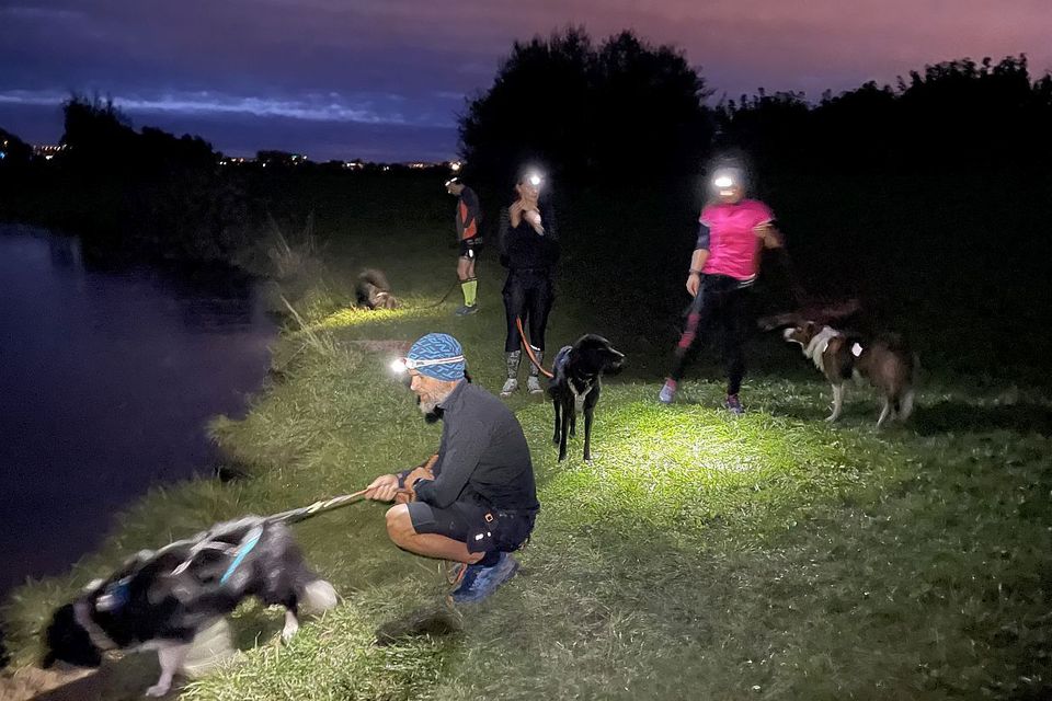 Canicrossový výběh pro začátečníky 24/24 Brno Bystrc