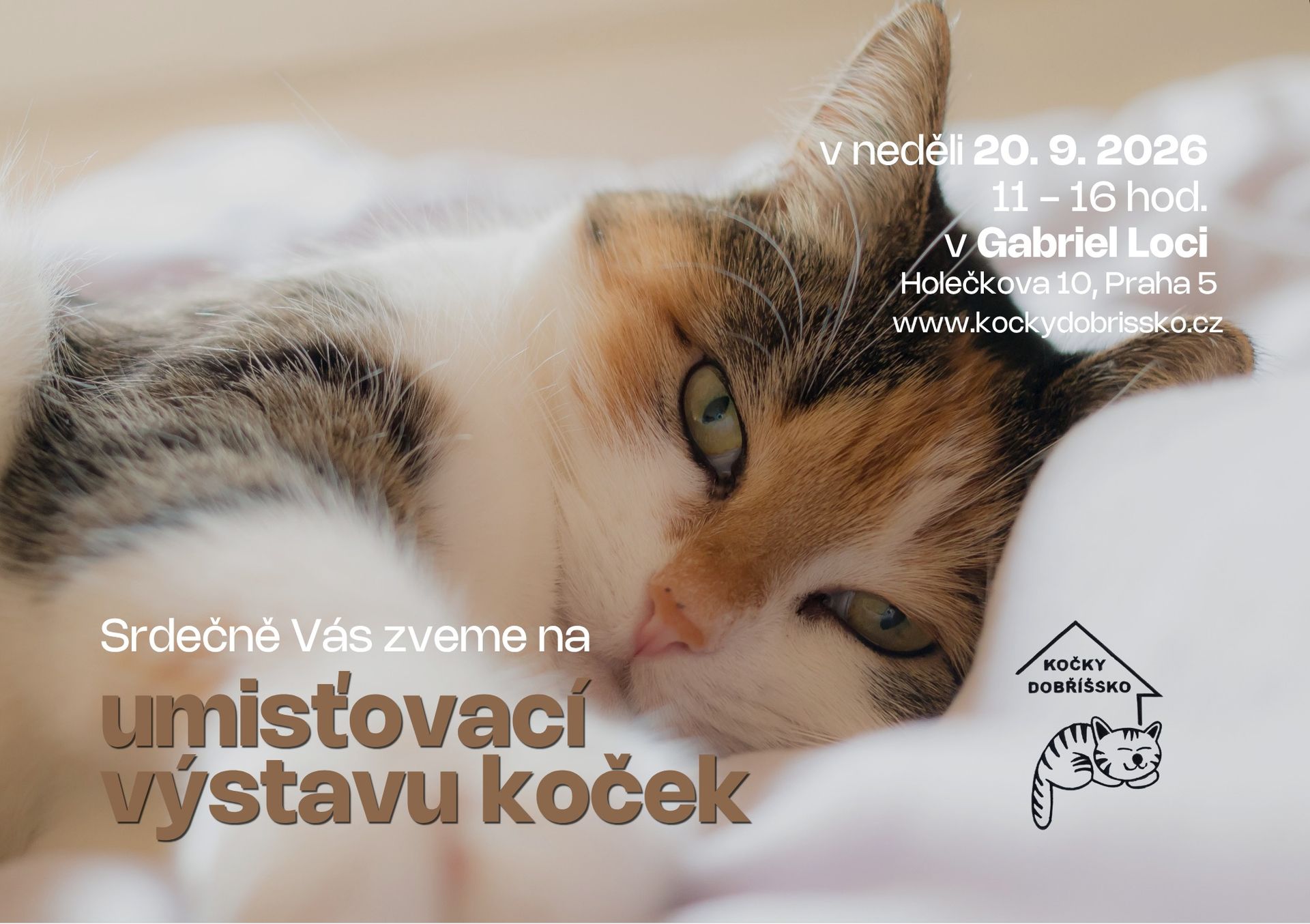 UMÍSŤOVACÍ VÝSTAVA KOČEK V GABRIEL LOCI