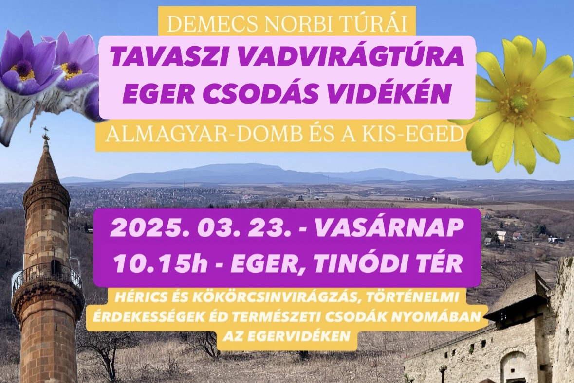 Tavaszi vadvirágtúra Eger csodás vidékén - Almagyar-domb és a Kis-Eged történelmi, természeti csodái